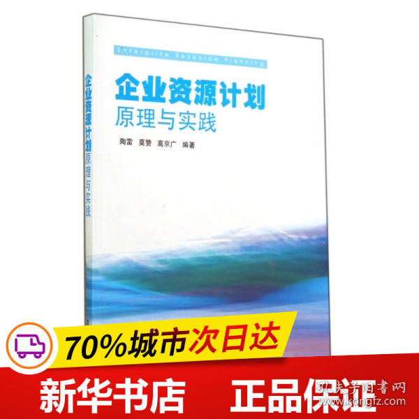 企业资源计划原理与实践