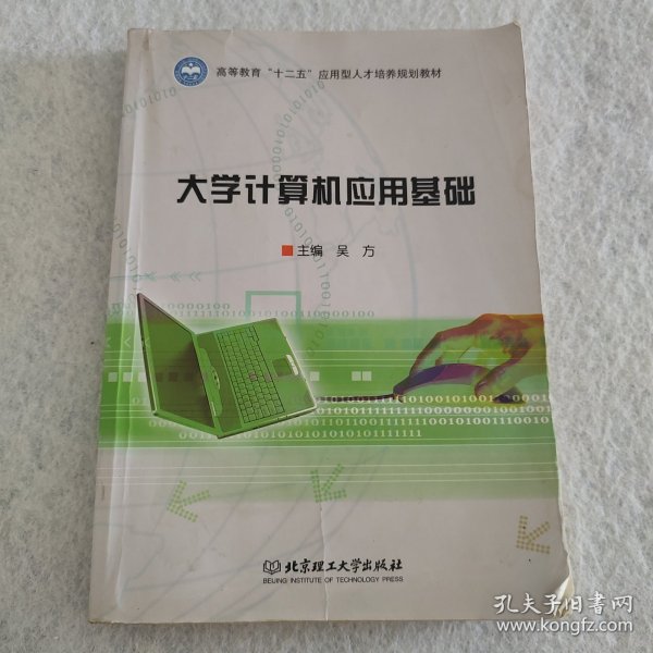 大学计算机应用基础/高等教育“十二五”应用型人才培养规划教材