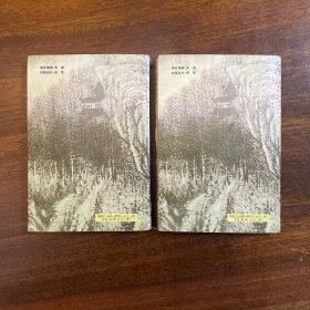 日月风雷 第二册第三册