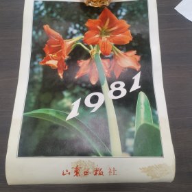 1981年挂历，山东画报社宣传挂历，13张全