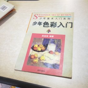 少年美术入门系列 少年色彩入门