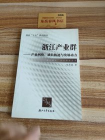 浙江产业群：产业网络成长轨迹与发展动力