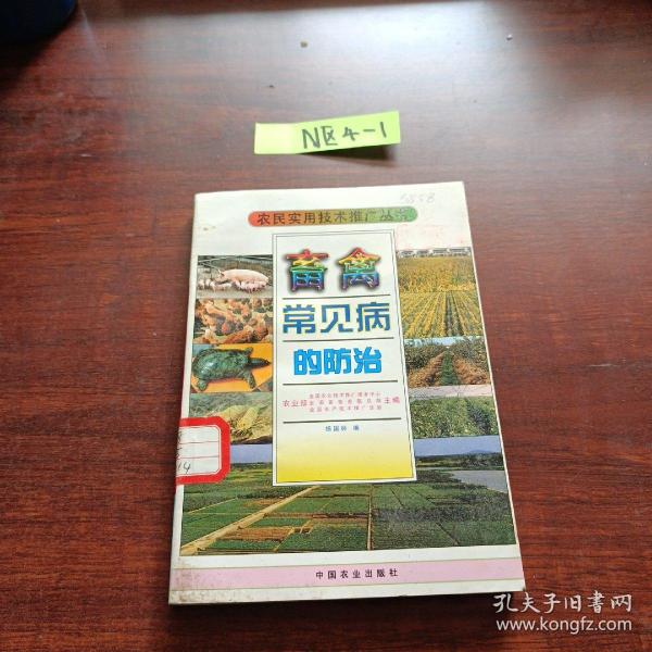 畜禽常见病的防治