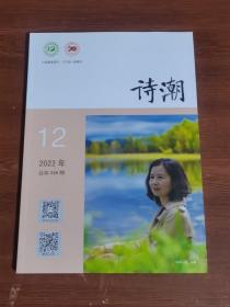 诗潮  2022-12