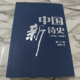 中国新诗史1916-1949 第三卷