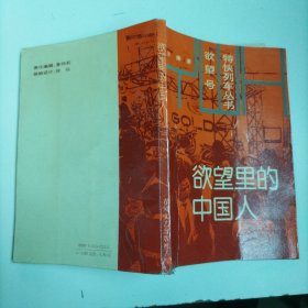 欲望里的中國人