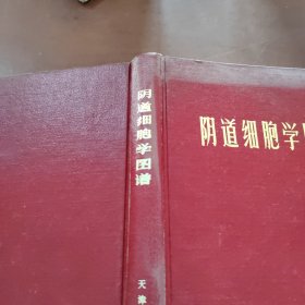 阴道细胞学图谱