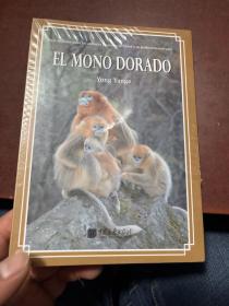 EL MONO DORADO 金丝猴