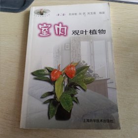 室内观叶植物