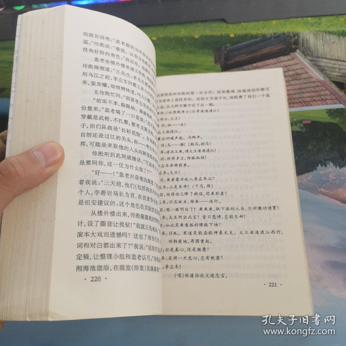 大江东去 沈祖安人物论集