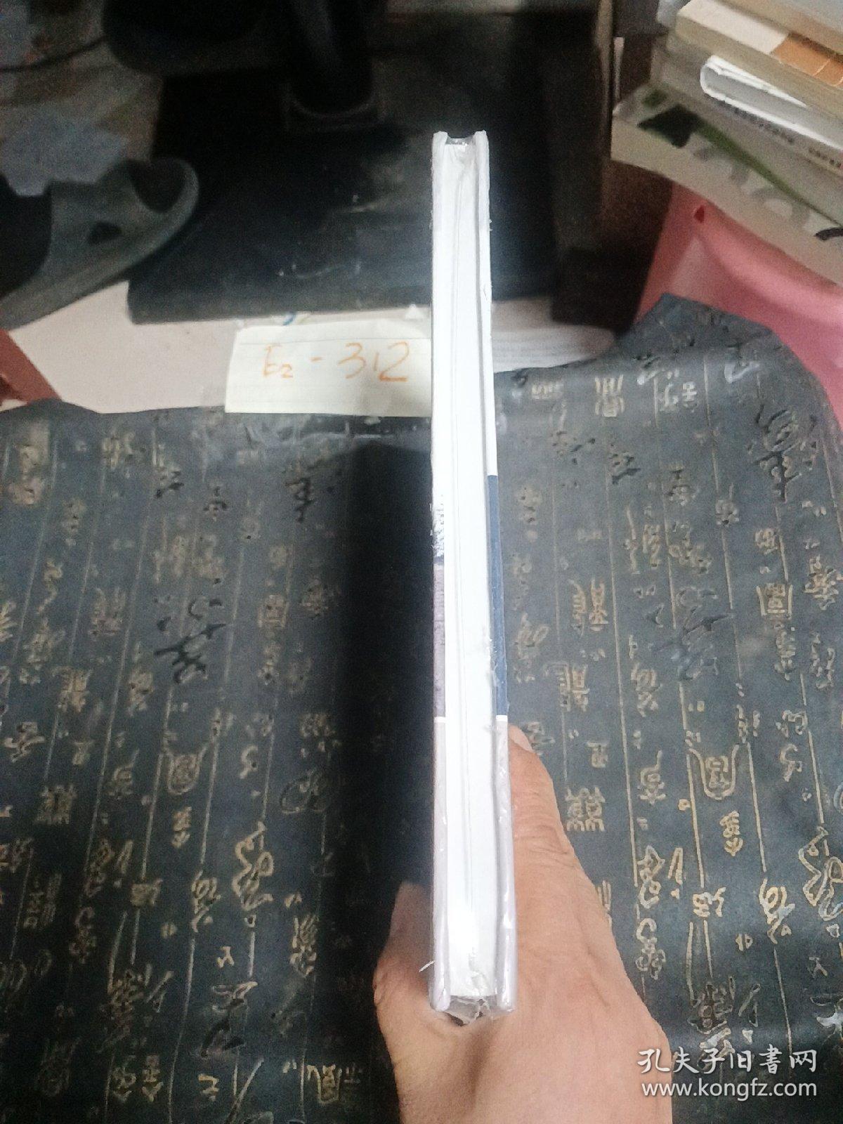 中国三大克拉通盆地重磁电物性建模与应用   严良俊等著