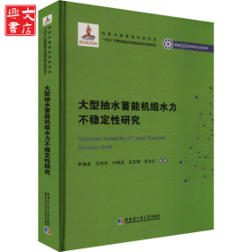 大型抽水蓄能機(jī)組水力不穩(wěn)定性研究