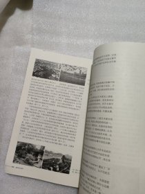 高校建筑学与城市规划专业教材：城市设计美学