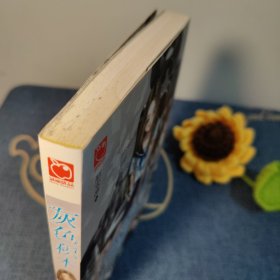 灰色积木