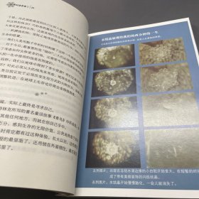 水知道答案2：每一滴水都有一颗心