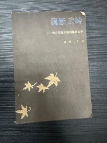 魂断武岭-蒋介石在大陆最后的日子