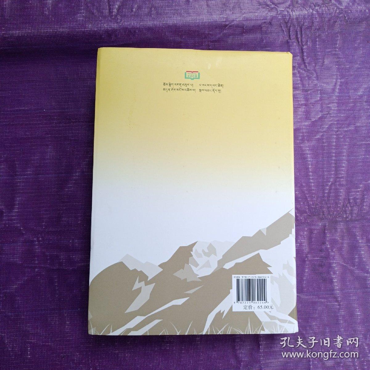 四部医典大详解(第3册) 藏文