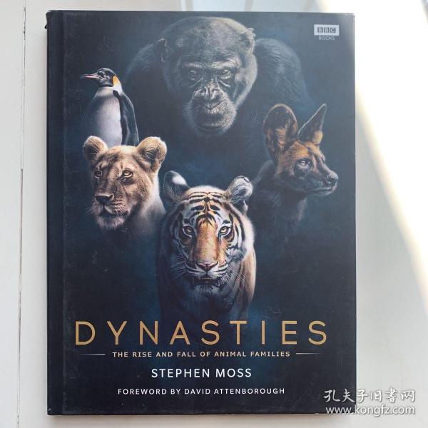 Dynasties：The Rise and Fall of Animal Families