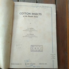 cotton  insects  of  the  united  states