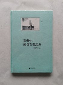 看着你，就像看着远方：黄锐诗选