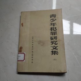 青少年犯罪研究文集（上中下）