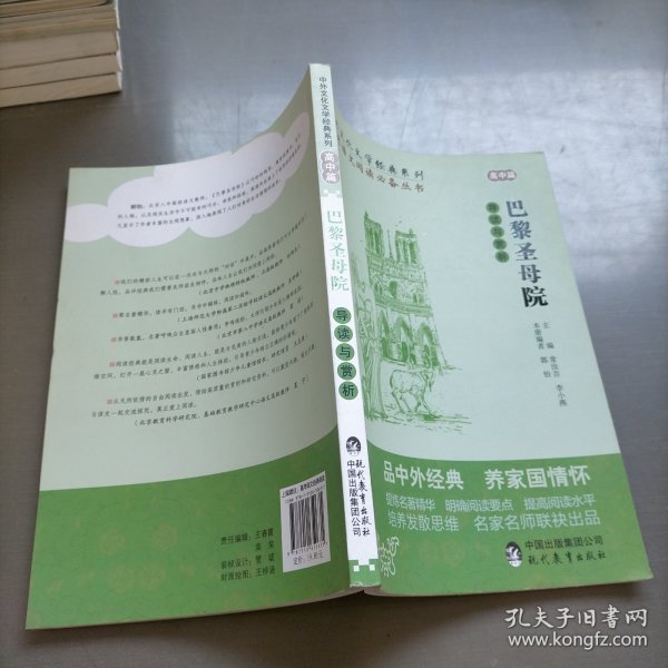 中外文化文学经典系列——《巴黎圣母院》导读与赏析 （高中篇）