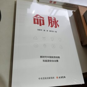 命脉：新时代中国能源战略和能源安全治理