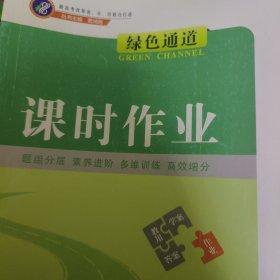 课时作业 绿色通道 高中地理 新高考 新教材