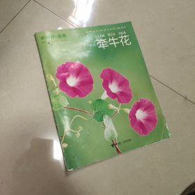 小聪仔自然 牵牛花