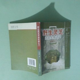实拍图 野生灵芝探秘与应用