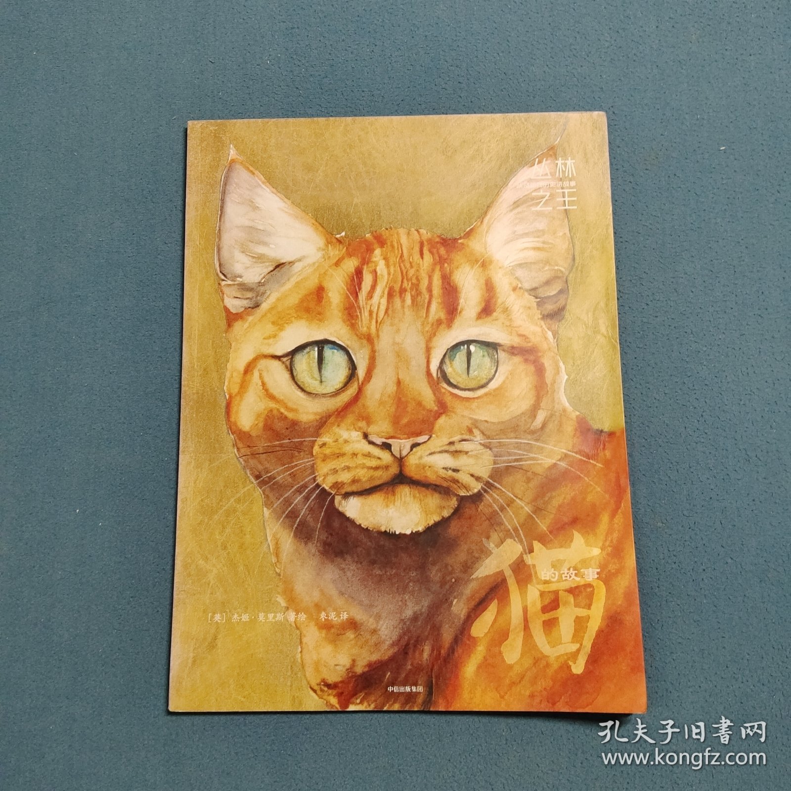 丛林之王 以及动物的史诗故事：猫的故事