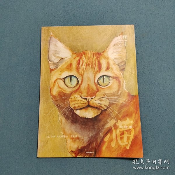 丛林之王 以及动物的史诗故事：猫的故事