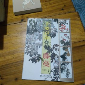 千姿百态画藤蔓