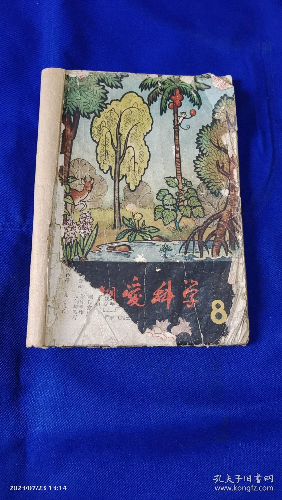 我们爱科学  8    一九六三年