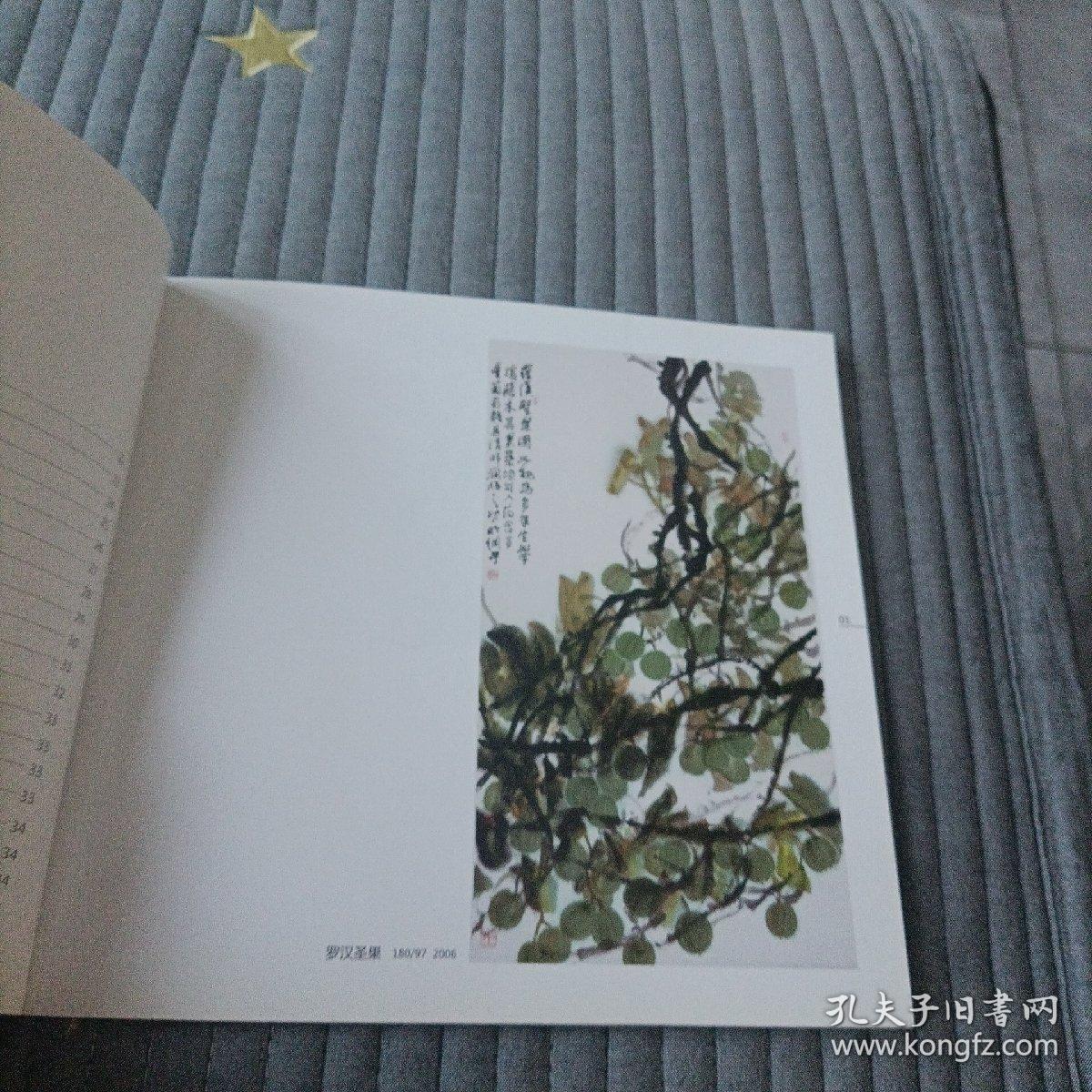 陈明纲中国画集
