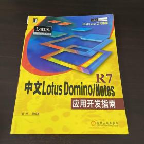 中文Lotus Domino/Notes应用开发指南