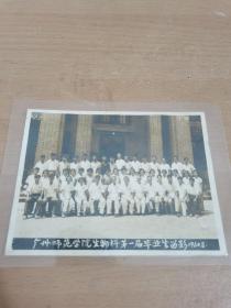 广州师范学院生物科第一届毕业留影1960.8。(过了胶)