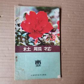 杜鹃花