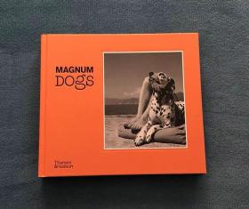 Magnum Dogs 玛格南摄影师镜头下的狗 街头摄影作品集