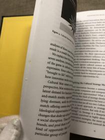 Cultural Strategy: Using Innovative Ideologies to Build Breakthrough Brands 文化战略 : 以创新的意识形态构建独特的文化品牌【英文版，少见精装本，无酸纸印制】