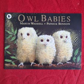 Owl Babies