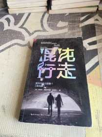 混沌行走Ⅰ：闹与静