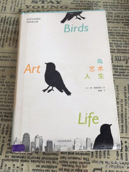 鸟，艺术，人生