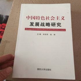 中国特色社会主义发展战略研究