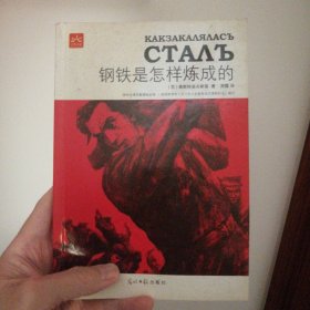 钢铁是怎样炼成的