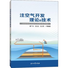 保證正版 注空氣開發(fā)理論與技術(shù) 廖廣志著 9787518340767 石油工業(yè)出版社