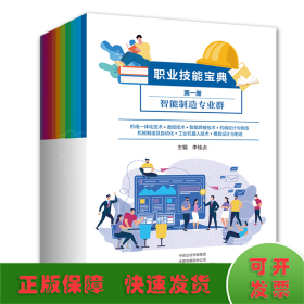 職業(yè)技能寶典（全10冊(cè)）