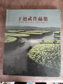 丁廼武作品集