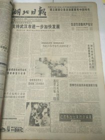 湖北日报1995年6月20日