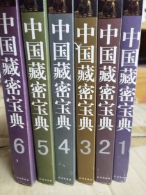 中国藏密宝典（全6册）